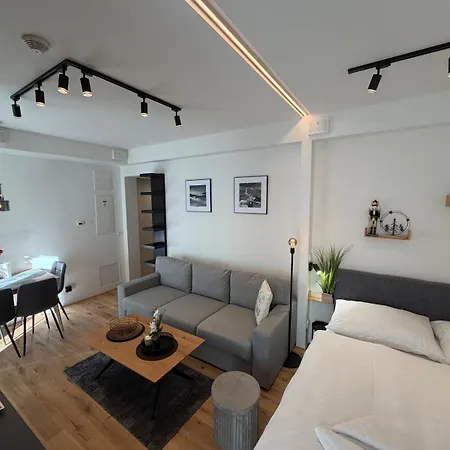 Apartamento Luxusní 22 S Exklusivní Bufetovou Snídaní - Novostavba V Samotném Srdci Harrachova - Privátní Parkování Zdarma U Vlastního Venkovního Posezení - 150 M Od Sjezdovky - Smart Tv - Wifi - Satelit Harrachov