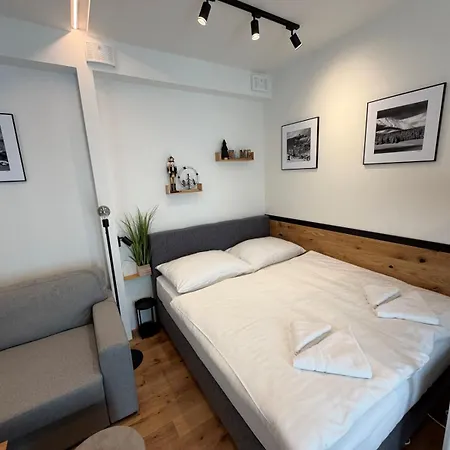 Apartamento Luxusní 22 S Exklusivní Bufetovou Snídaní - Novostavba V Samotném Srdci Harrachova - Privátní Parkování Zdarma U Vlastního Venkovního Posezení - 150 M Od Sjezdovky - Smart Tv - Wifi - Satelit *