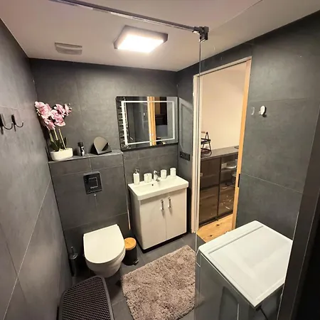 Luxusni 22 - Novostavba V Samotnem Srdci Harrachova - Privatni Parkovani Zdarma U Vlastniho Venkovniho Posezeni - 150 M Od Sjezdovky - Smart Tv - Wifi - Satelit * Harrachov