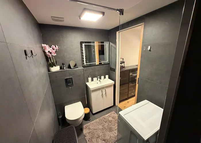 Luxusní 22 S Exklusivní Bufetovou Snídaní - Novostavba V Samotném Srdci Harrachova - Privátní Parkování Zdarma U Vlastního Venkovního Posezení - 150 M Od Sjezdovky - Smart Tv - Wifi - Satelit * Harrachov